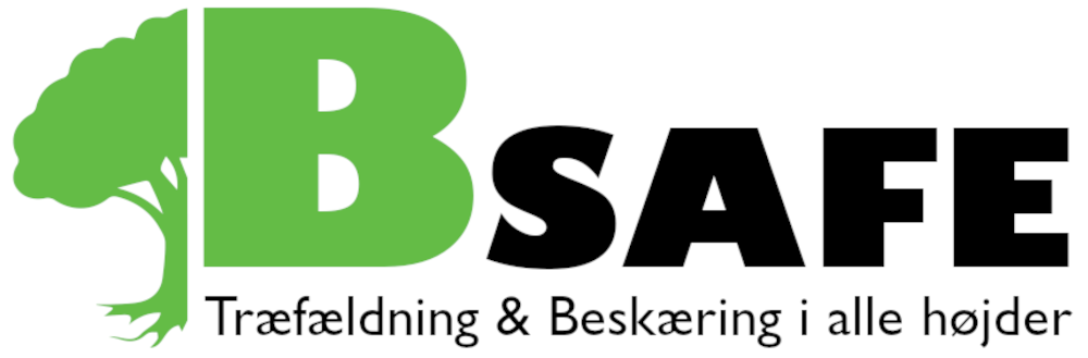 BSafe Logo